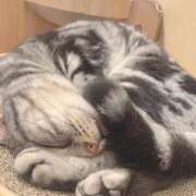 ヒメ日記 2025/08/28 15:00 投稿 すず SUZUME