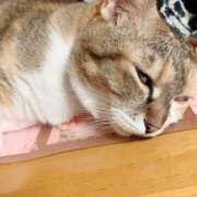 ヒメ日記 2025/08/29 14:00 投稿 すず SUZUME