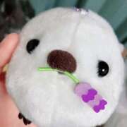 ヒメ日記 2025/08/30 15:00 投稿 すず SUZUME