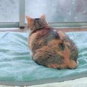 ヒメ日記 2025/09/01 15:00 投稿 すず SUZUME