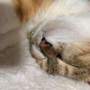 ヒメ日記 2025/09/02 10:00 投稿 すず SUZUME