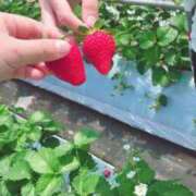 ヒメ日記 2025/09/06 16:00 投稿 すず SUZUME