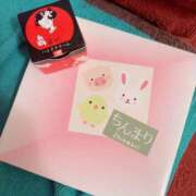 ヒメ日記 2025/09/16 13:00 投稿 すず SUZUME