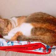 ヒメ日記 2025/09/17 13:00 投稿 すず SUZUME