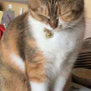 ヒメ日記 2025/09/19 14:30 投稿 すず SUZUME