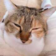 ヒメ日記 2025/09/23 13:00 投稿 すず SUZUME