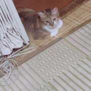 ヒメ日記 2025/09/27 14:00 投稿 すず SUZUME