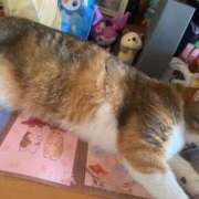 ヒメ日記 2025/10/02 13:00 投稿 すず SUZUME