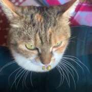 ヒメ日記 2025/10/03 15:00 投稿 すず SUZUME