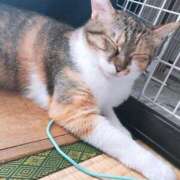 ヒメ日記 2025/10/05 14:00 投稿 すず SUZUME