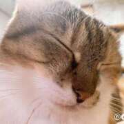 ヒメ日記 2025/10/06 15:00 投稿 すず SUZUME