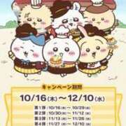 ヒメ日記 2025/10/07 15:00 投稿 すず SUZUME