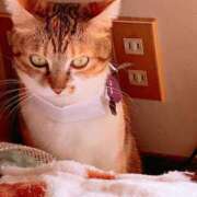 ヒメ日記 2025/10/10 14:00 投稿 すず SUZUME