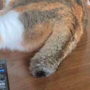 ヒメ日記 2025/10/11 17:00 投稿 すず SUZUME