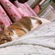 ヒメ日記 2025/10/12 17:00 投稿 すず SUZUME