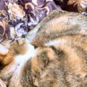 ヒメ日記 2025/10/13 17:00 投稿 すず SUZUME