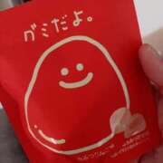 ヒメ日記 2025/10/14 13:00 投稿 すず SUZUME