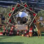 ヒメ日記 2025/10/14 15:00 投稿 すず SUZUME