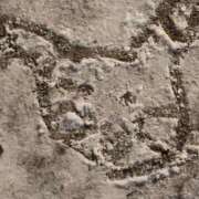 ヒメ日記 2025/10/16 13:00 投稿 すず SUZUME