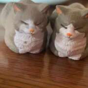 ヒメ日記 2025/10/16 16:00 投稿 すず SUZUME