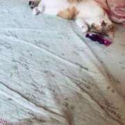 ヒメ日記 2025/10/21 13:00 投稿 すず SUZUME