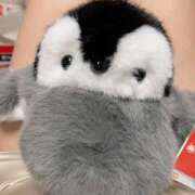 ヒメ日記 2025/10/21 15:00 投稿 すず SUZUME