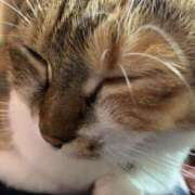 ヒメ日記 2025/11/02 15:00 投稿 すず SUZUME