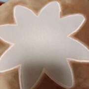 ヒメ日記 2025/11/03 15:00 投稿 すず SUZUME