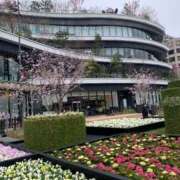 ヒメ日記 2025/11/04 13:00 投稿 すず SUZUME