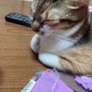 ヒメ日記 2025/11/07 15:01 投稿 すず SUZUME