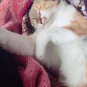 ヒメ日記 2025/11/12 13:00 投稿 すず SUZUME