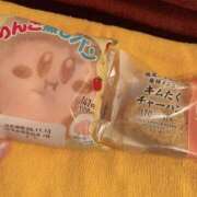 ヒメ日記 2025/11/13 14:00 投稿 すず SUZUME