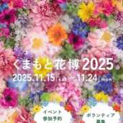 ヒメ日記 2025/11/13 17:00 投稿 すず SUZUME
