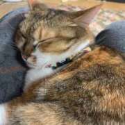 ヒメ日記 2025/11/18 17:00 投稿 すず SUZUME