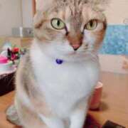 ヒメ日記 2025/11/20 15:00 投稿 すず SUZUME