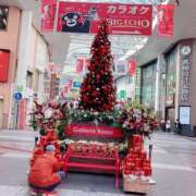 ヒメ日記 2025/11/21 13:00 投稿 すず SUZUME