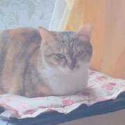 ヒメ日記 2025/11/21 14:00 投稿 すず SUZUME