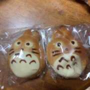 ヒメ日記 2025/11/22 16:00 投稿 すず SUZUME