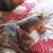 ヒメ日記 2025/11/23 15:00 投稿 すず SUZUME