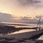 ヒメ日記 2025/11/25 14:00 投稿 すず SUZUME