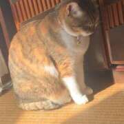 ヒメ日記 2025/11/28 15:00 投稿 すず SUZUME