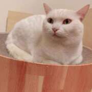 ヒメ日記 2025/12/04 13:00 投稿 すず SUZUME