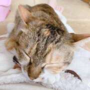 ヒメ日記 2025/12/05 15:00 投稿 すず SUZUME