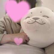 ヒメ日記 2024/12/29 08:30 投稿 まひる SUZUME