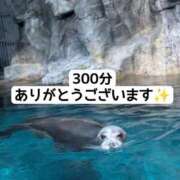 ヒメ日記 2025/01/07 22:49 投稿 まひる SUZUME