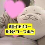 ヒメ日記 2025/01/25 22:04 投稿 まひる SUZUME