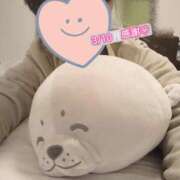 ヒメ日記 2025/03/21 22:03 投稿 まひる SUZUME