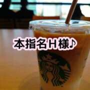 ヒメ日記 2025/04/08 00:50 投稿 まひる SUZUME