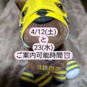 ヒメ日記 2025/04/08 21:03 投稿 まひる SUZUME