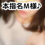 ヒメ日記 2025/04/11 00:54 投稿 まひる SUZUME